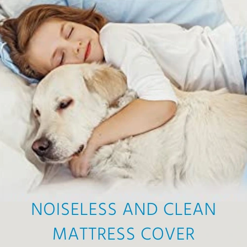 Noiseless and Clean Waterproof mattress Cover